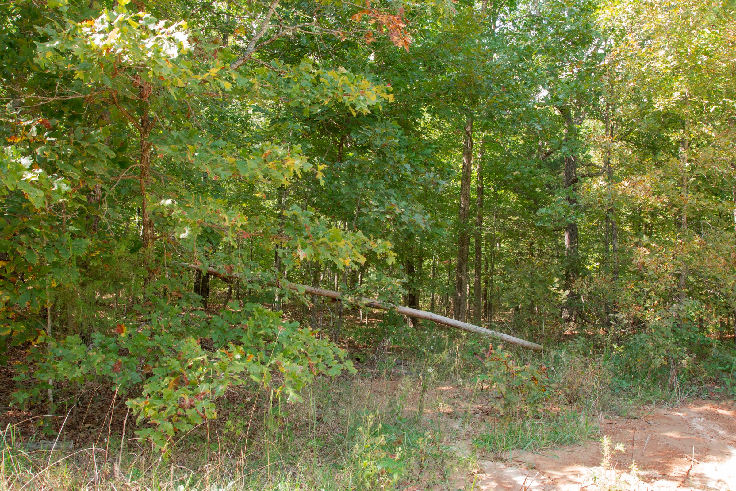 Tract 10 at Wagon Wheel Ranch in Dent County, Missouri