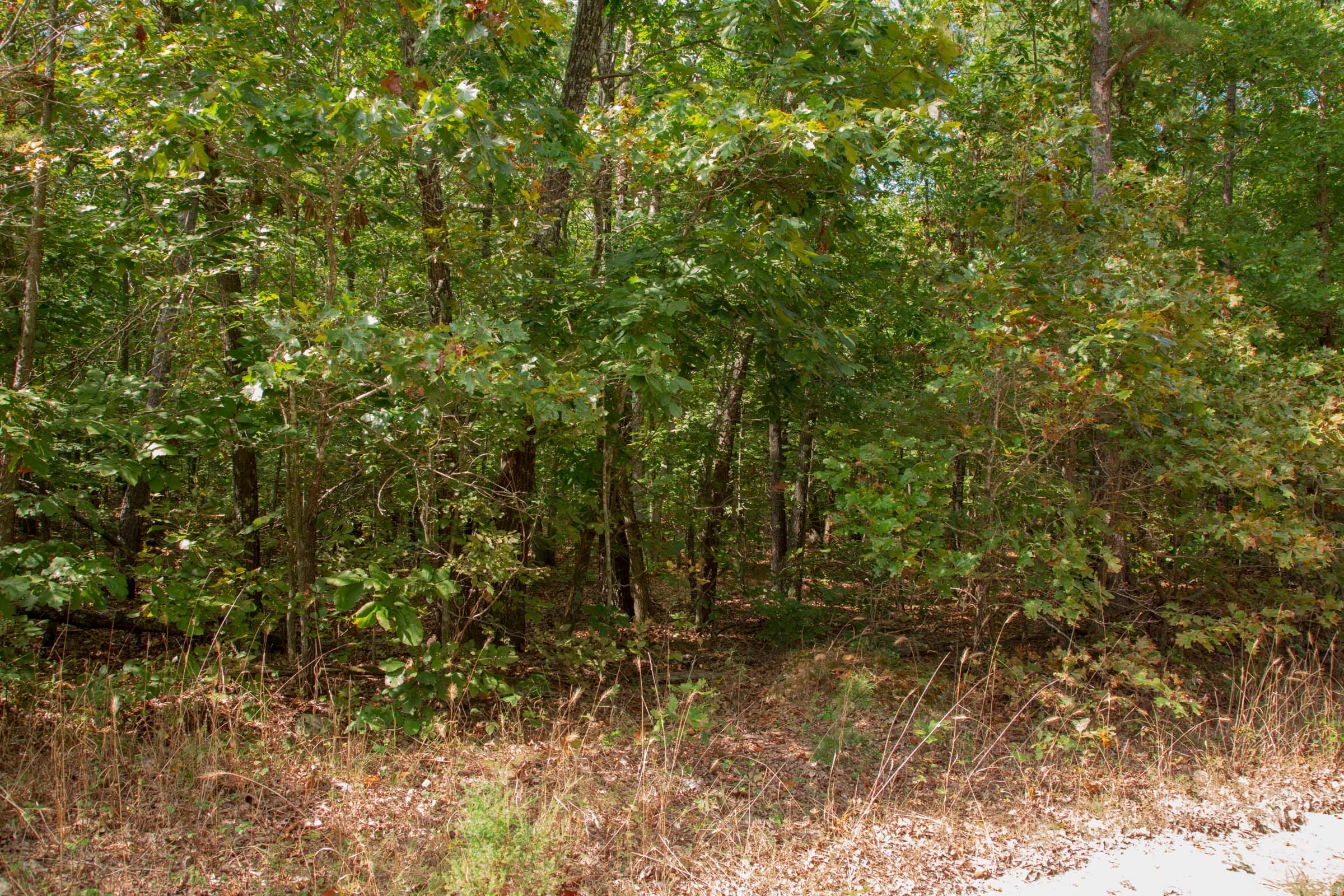 Tract 12 at Wagon Wheel Ranch in Dent County, Missouri