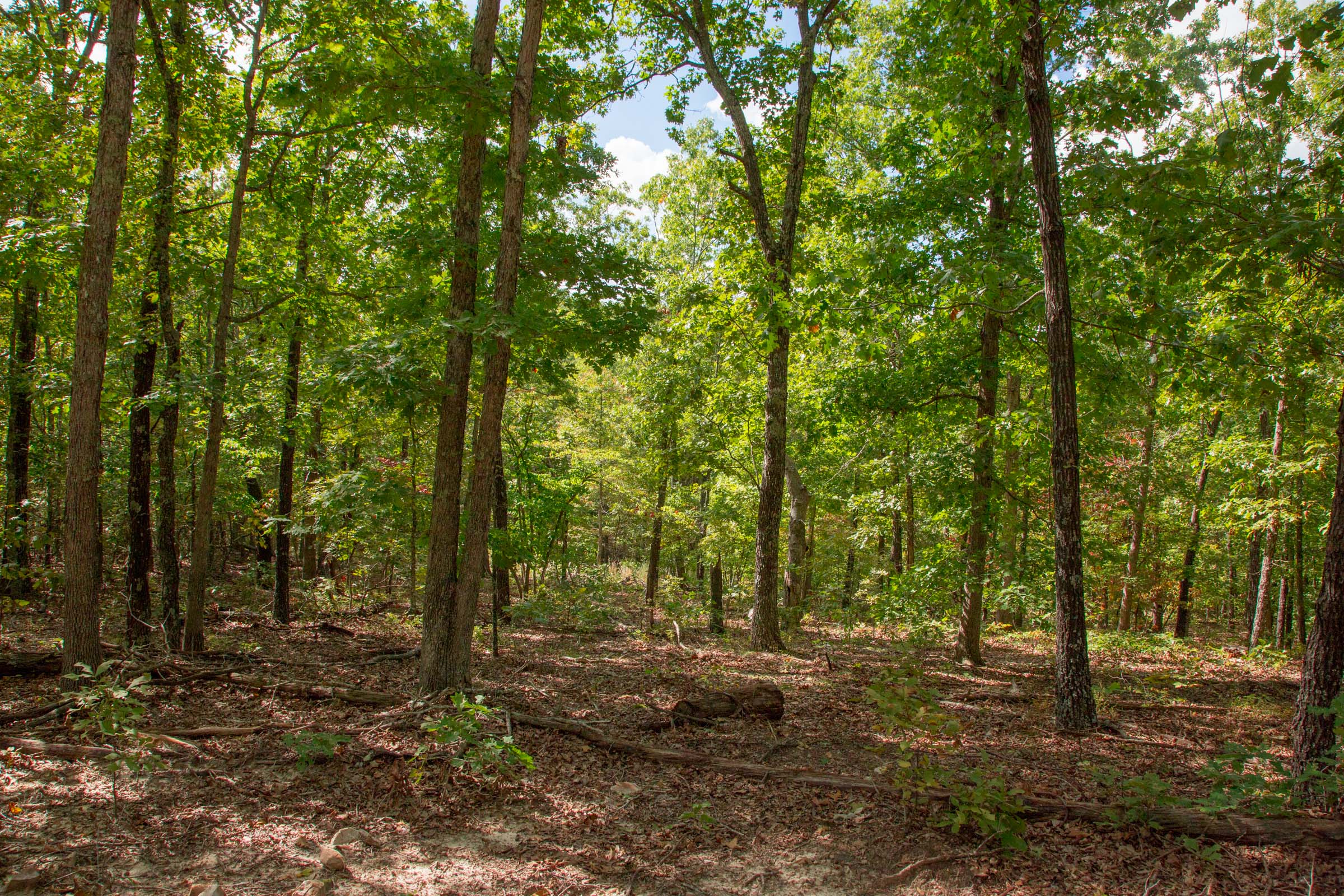 Tract 25 at Wagon Wheel Ranch in Dent County, Missouri