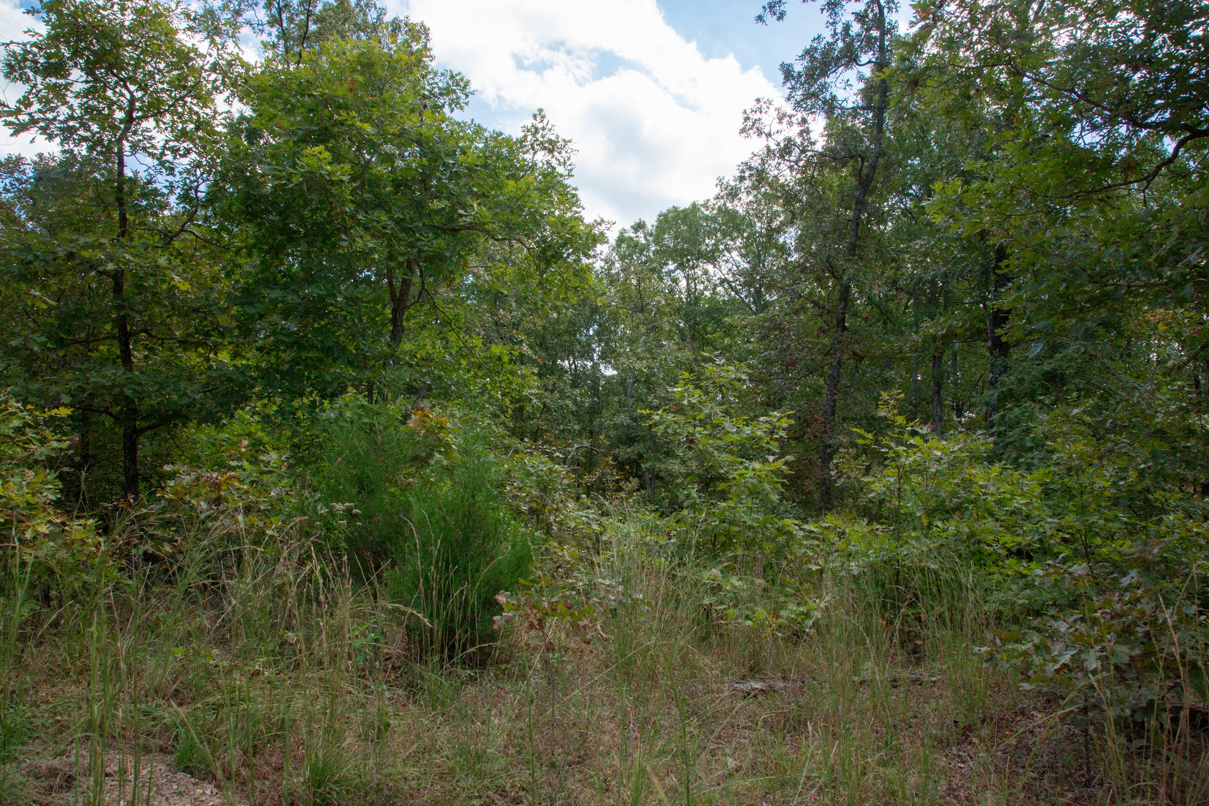 Tract 35 at Wagon Wheel Ranch in Dent County, Missouri