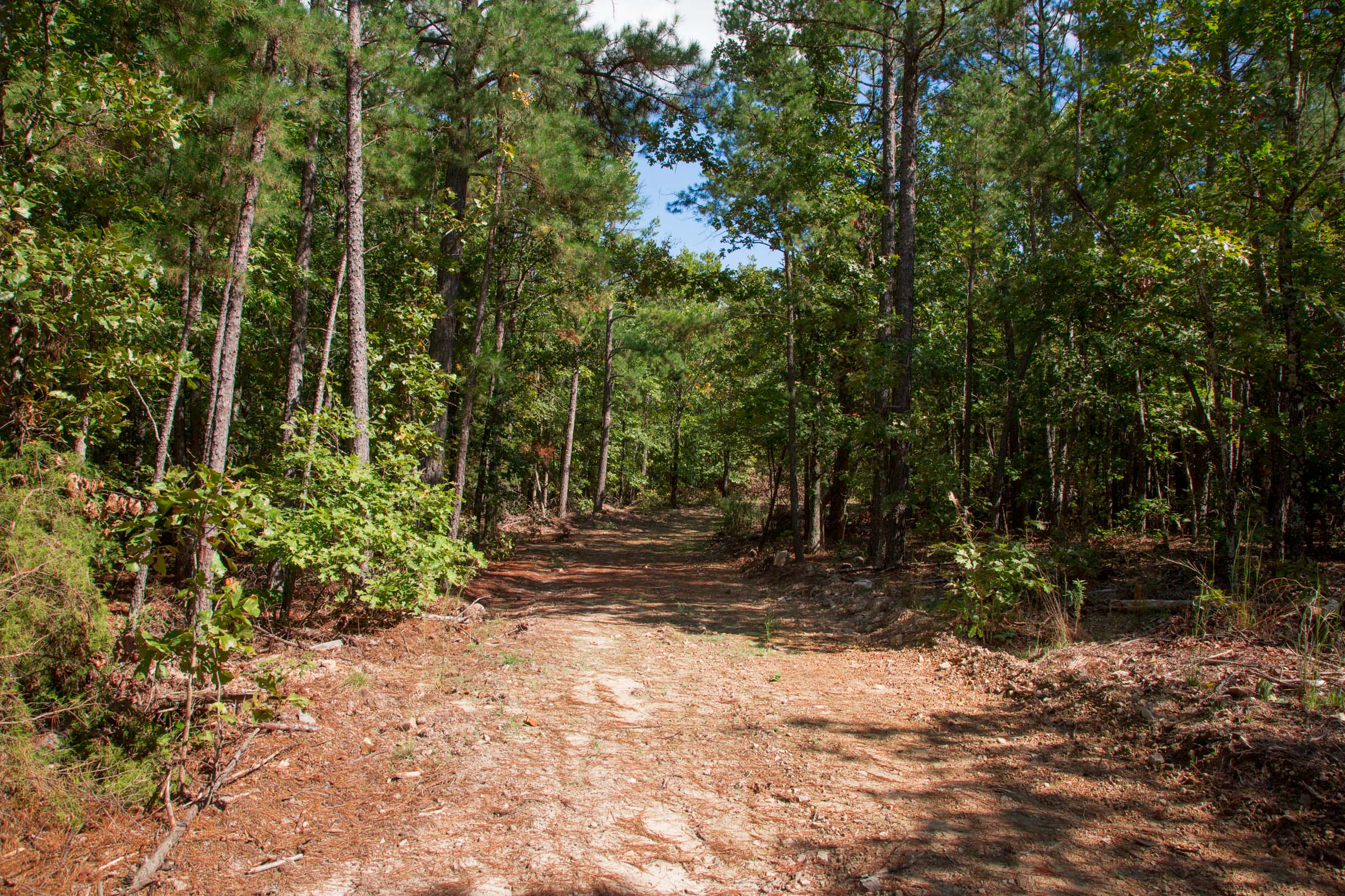 Tract 41 at Wagon Wheel Ranch in Dent County, Missouri