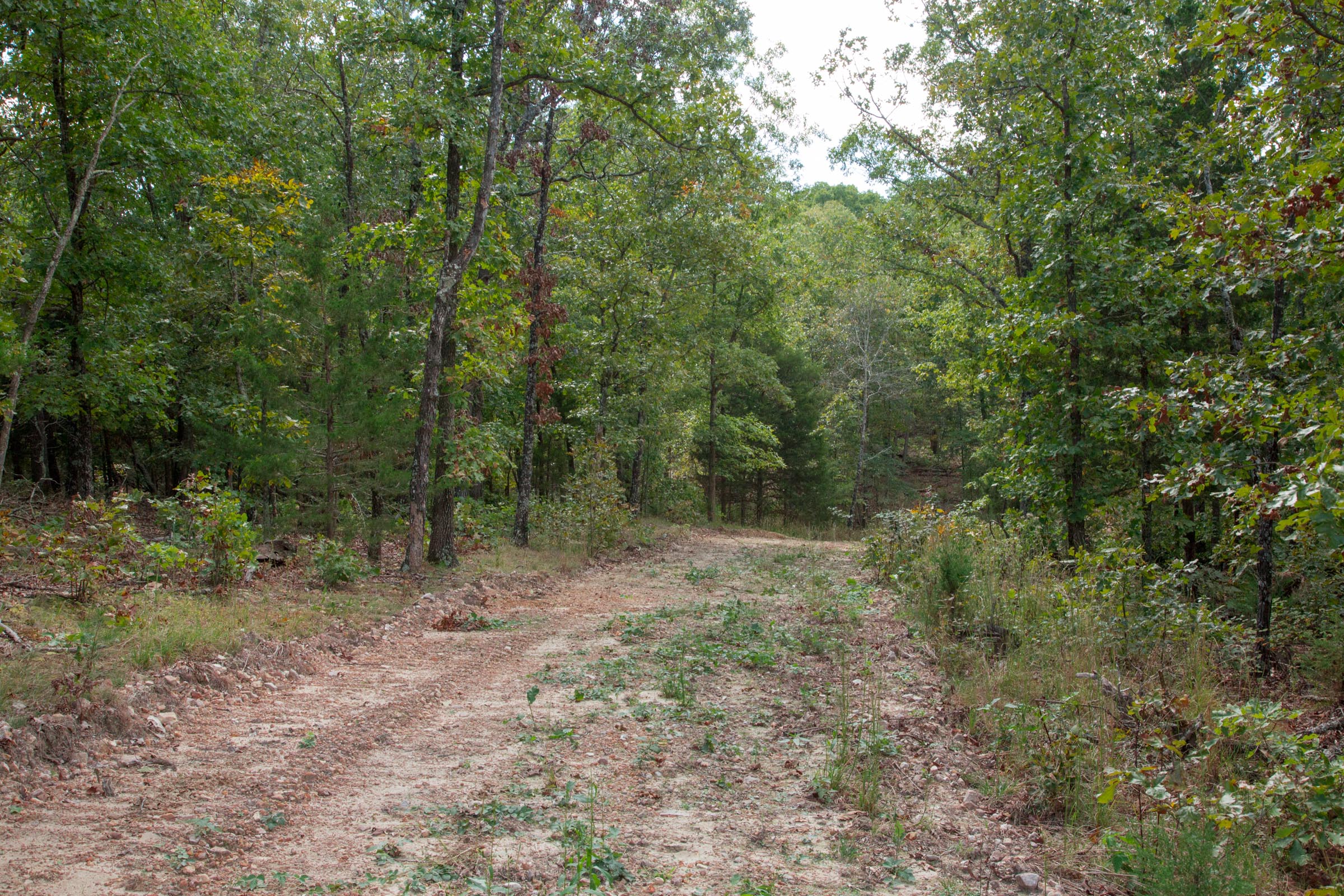Tract 46 at Wagon Wheel Ranch in Dent County, Missouri