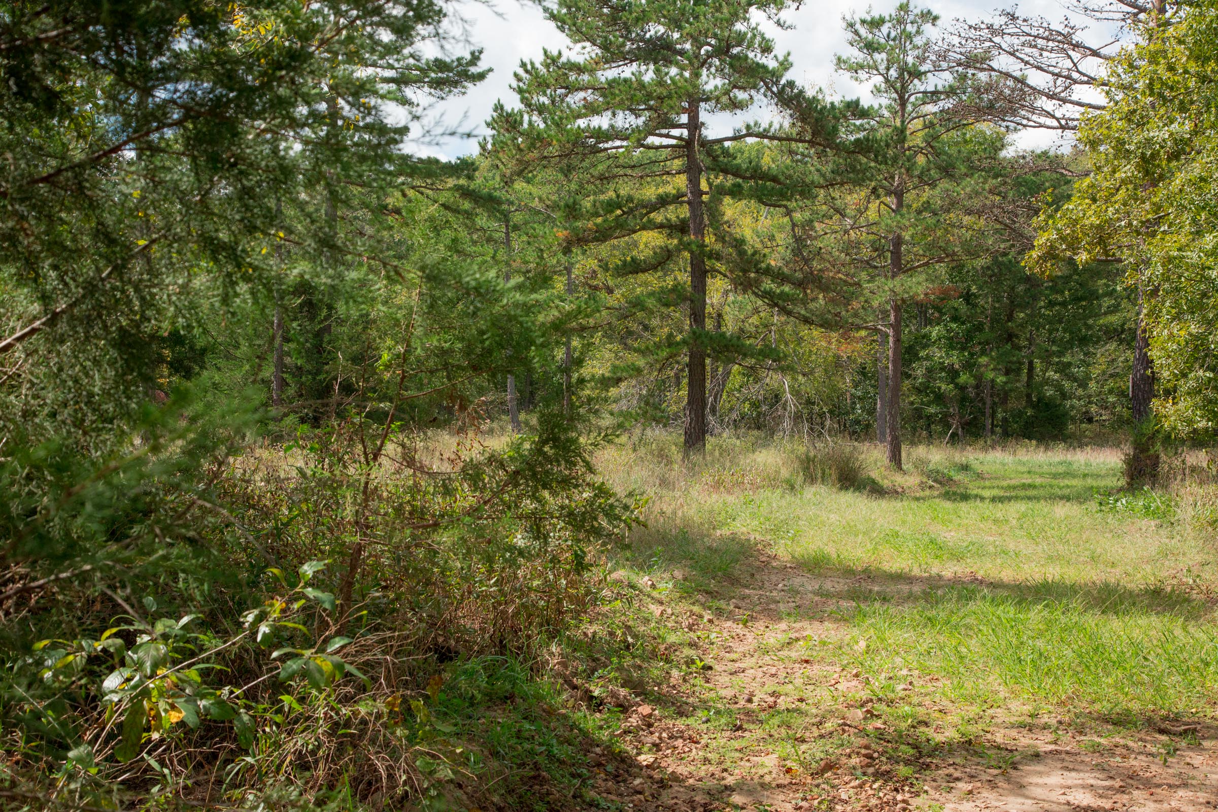 Tract 48 at Wagon Wheel Ranch in Dent County, Missouri