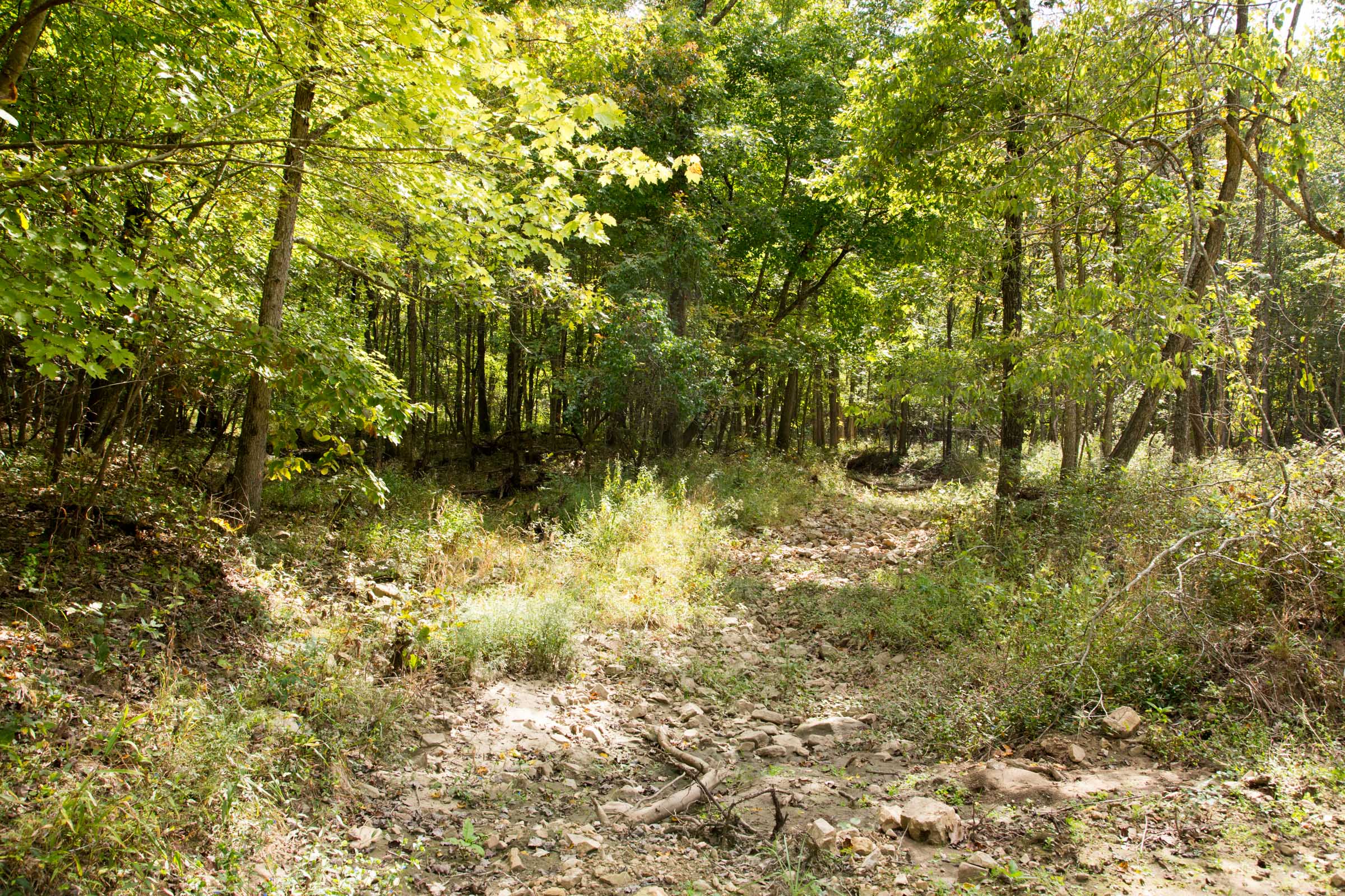 Tract 50 at Wagon Wheel Ranch in Dent County, Missouri