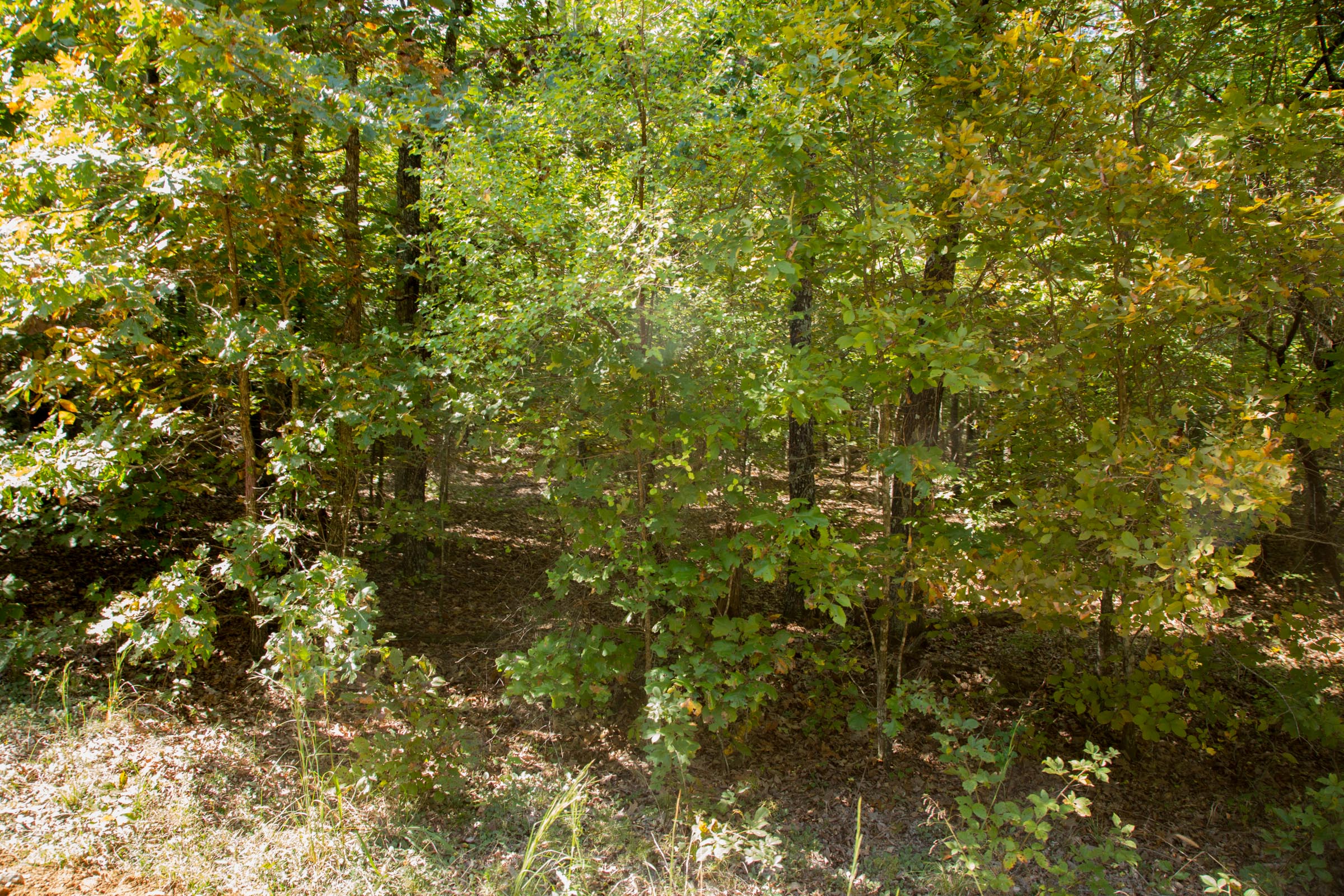 Tract 9 at Wagon Wheel Ranch in Dent County, Missouri